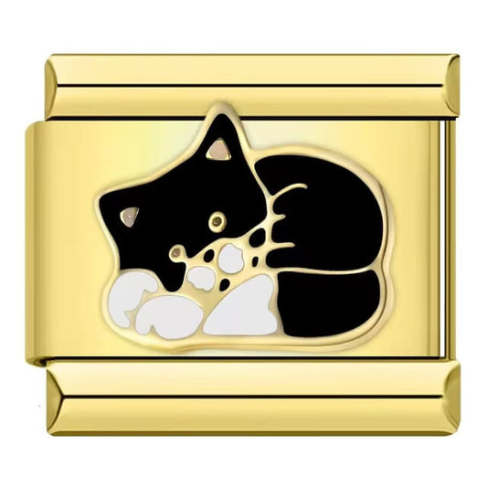 Black cat