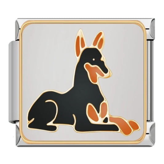Doberman dog