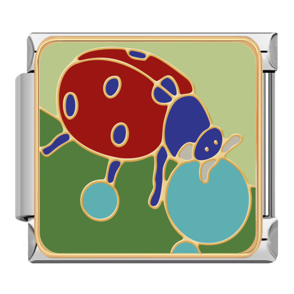 Ladybug