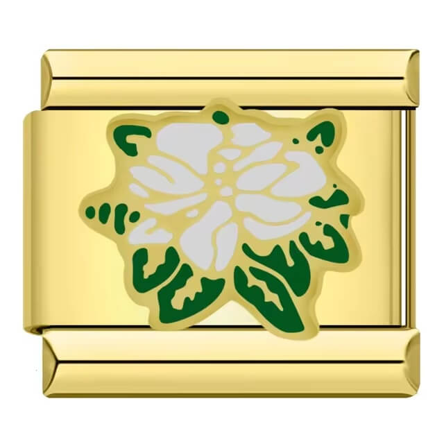 Lily