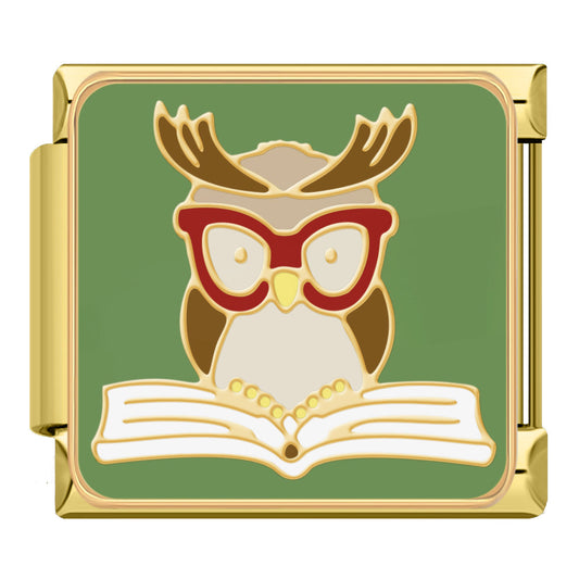 Owl reading