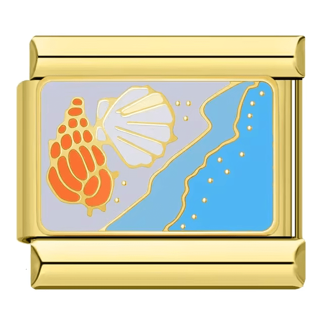 Seashells