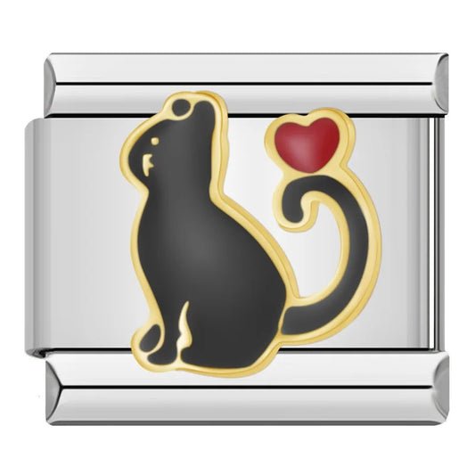 Black Cat and Heart